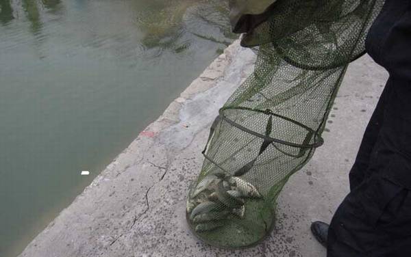 初春在水库里能钓鱼吗?