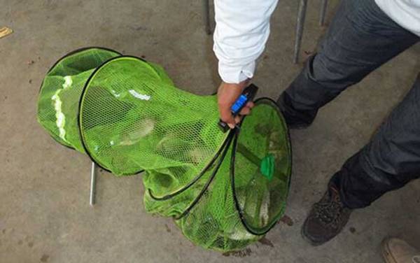 初春在水库里能钓鱼吗?