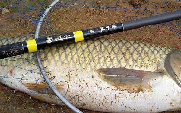 春天几月份钓鱼最好?
