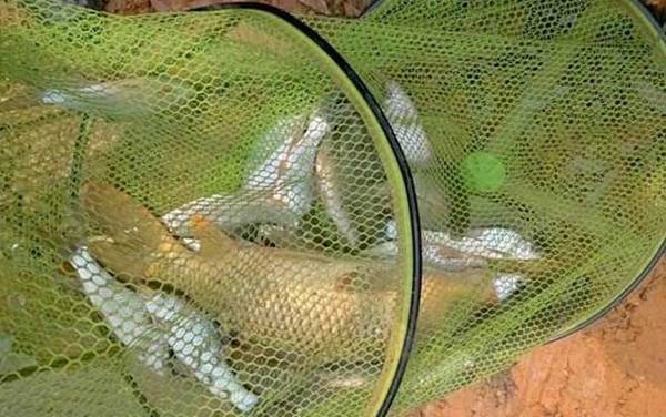 春天几月份钓鱼最好?