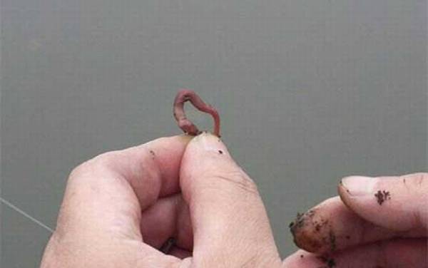 春天几月份钓鱼最好?