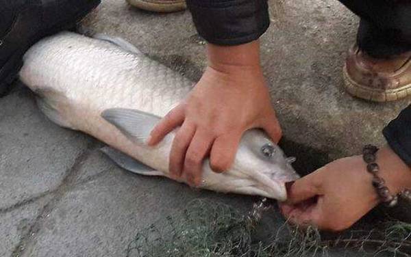 春季钓鱼的最佳时间