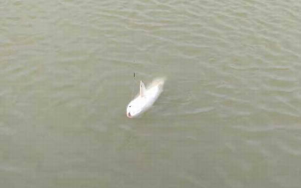 钓草鱼的温度多少合适?