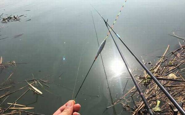 台钓调漂有几种方法?