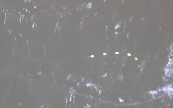 七星漂钓鱼什么时候提竿?