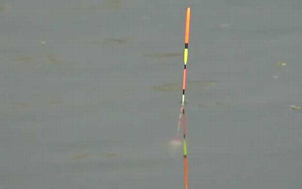 野钓漂相大全及提竿时机