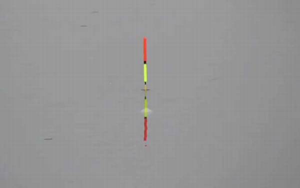 浮漂动作小怎么回事?