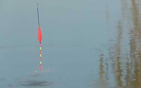 浮漂动作小怎么回事?