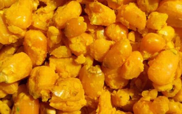 为什么挂玉米钓鱼一天没口?