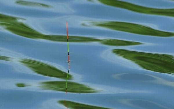 大送漂不中鱼是怎么回事?