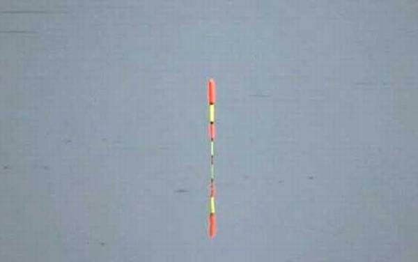 顿口(顿漂)是什么意思?