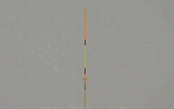 如何抓顿口中鱼率高?