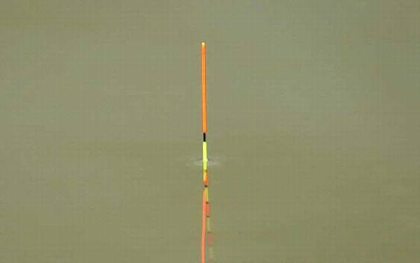 顿口漂相图解及提竿技巧