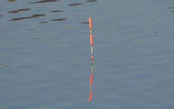 标准下顿口提竿不中鱼什么原因?