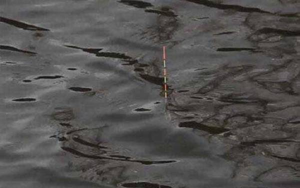 标准下顿口提竿不中鱼什么原因?