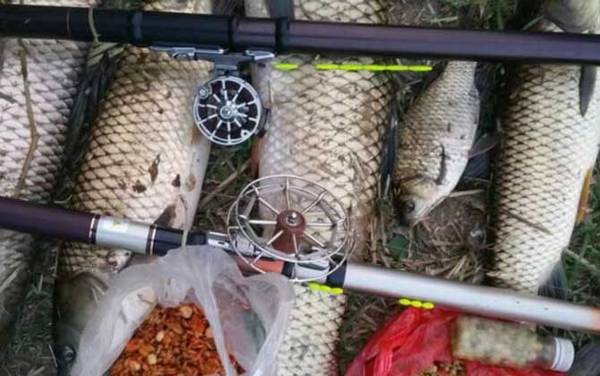 谷麦钓法用什么竿最好?