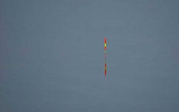 钓鱼调几钓几顿口最明显?