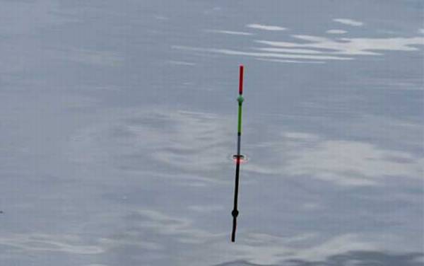 怎么调漂会出现明显顿口?