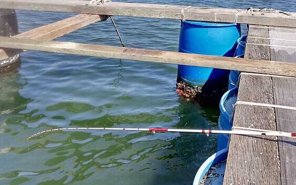 筏竿钓底最灵敏的方法