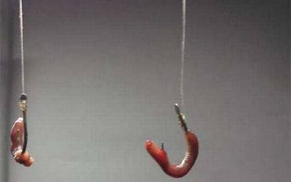 怎样穿蚯蚓才能钓更多鱼?