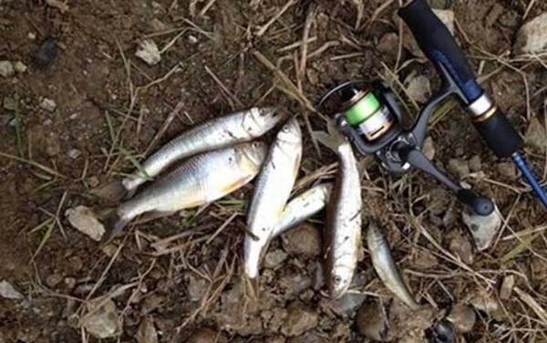 路亚在普通河里怎么钓?