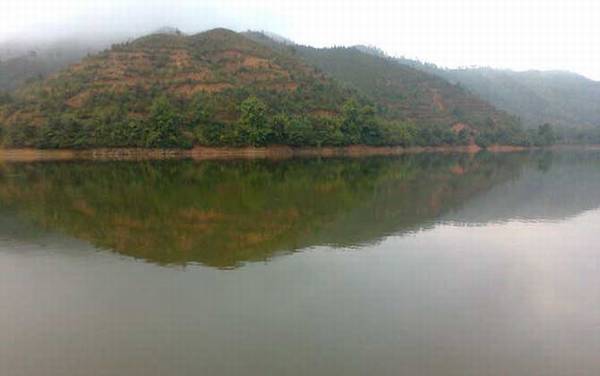 春季水库钓鱼技巧大全