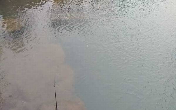 春季什么时候开始钓鱼?