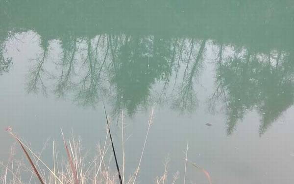 春季什么时候开始钓鱼?