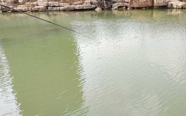 初春钓鲫鱼技巧大全