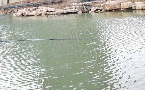 初春钓鲫鱼技巧大全