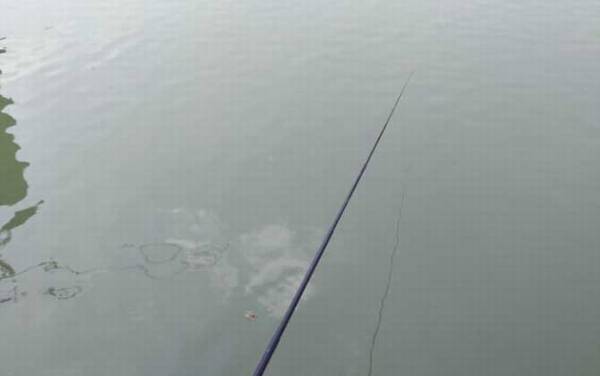 春季钓鲫鱼技巧大全