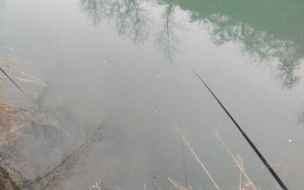 春天钓鲫鱼浅滩多深好?