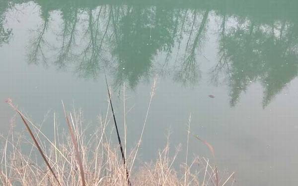 怎样才能钓到大鲫鱼?