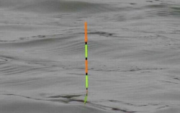 传统钓立漂怎么调漂?