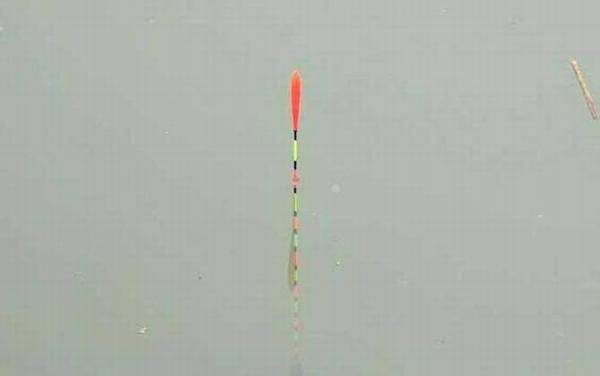 传统钓立漂怎么调漂?