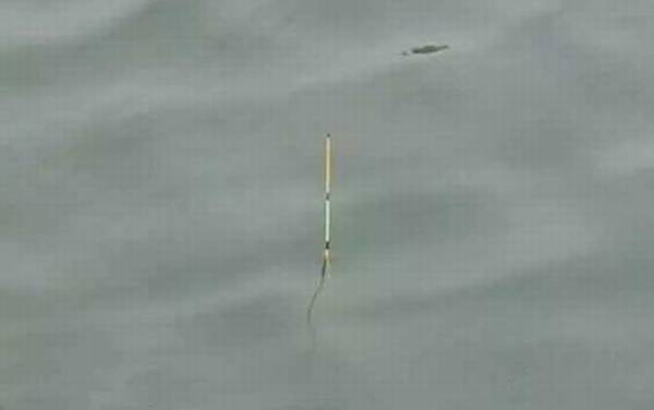 传统钓立漂怎么调漂?