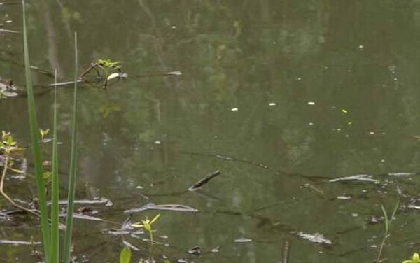 传统钓最佳调漂方法