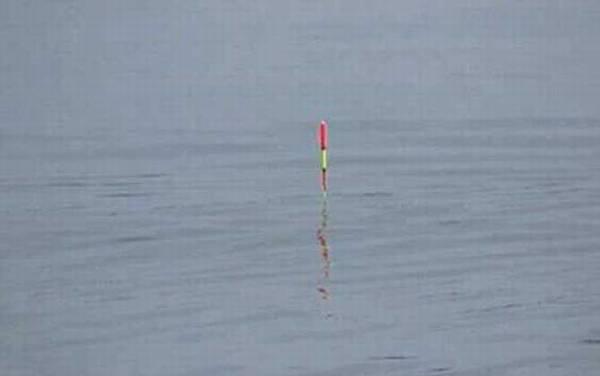 初学者用立漂还是七星漂?