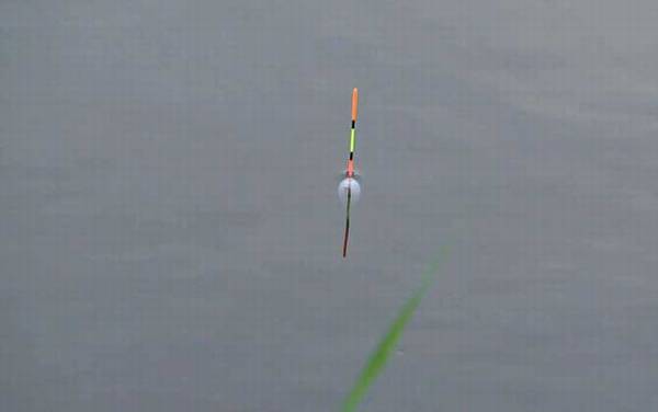 初学者用立漂还是七星漂?