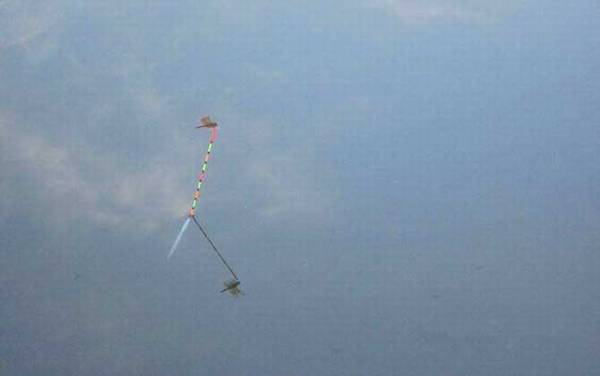 单钩立漂怎么调漂?