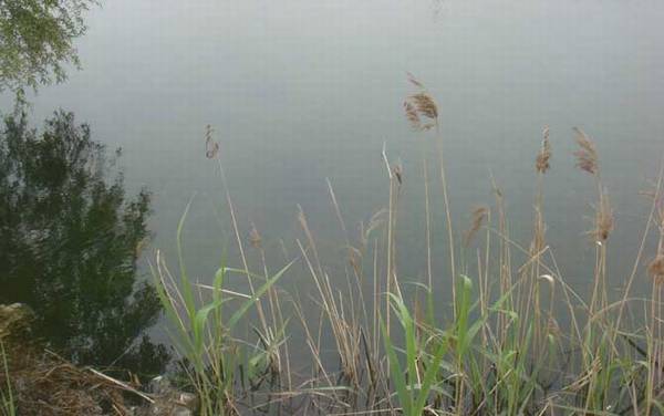 野钓怎么选择钓位?