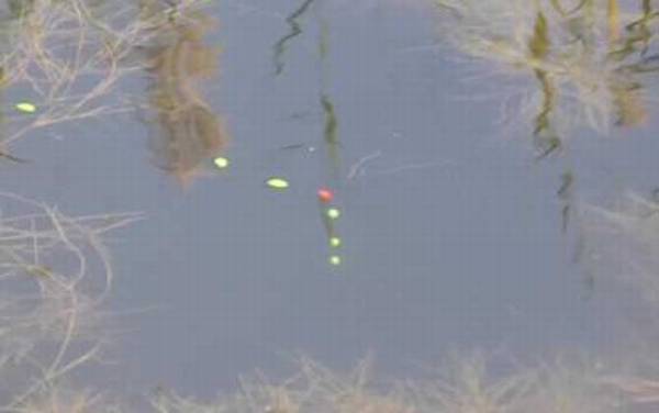 七星漂调几钓几最灵?