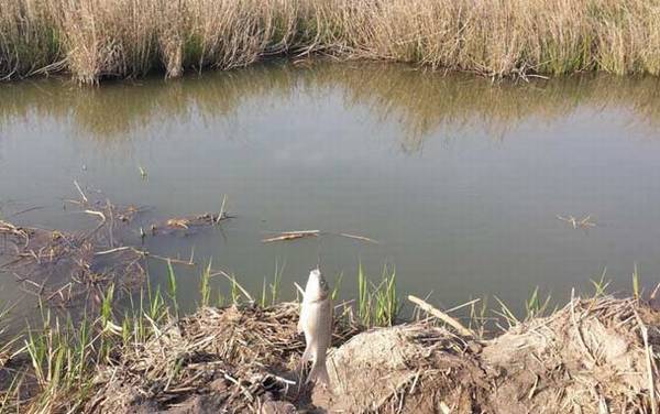 野钓怎么选择钓位?