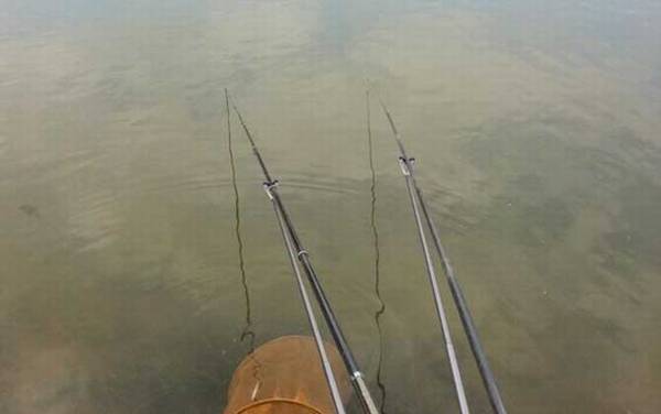 野钓调漂调几钓几最好?