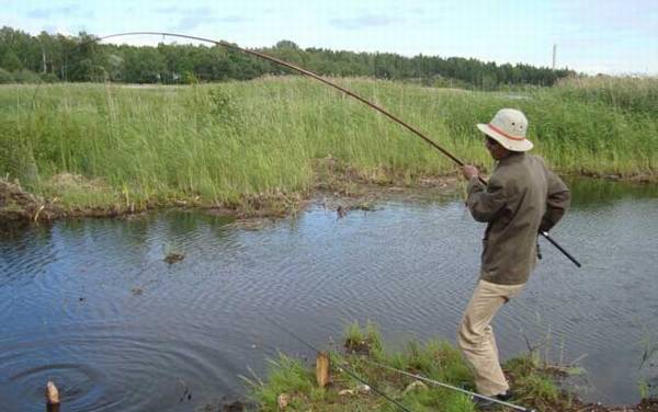 野钓调漂调几钓几最好?