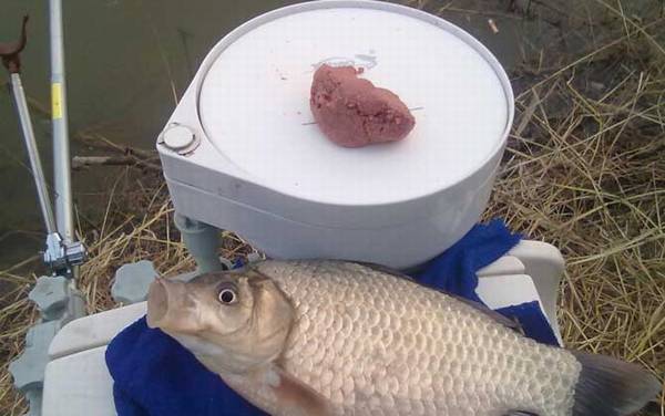 野钓怎么打窝效果好?