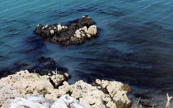 矶钓实用技巧大全