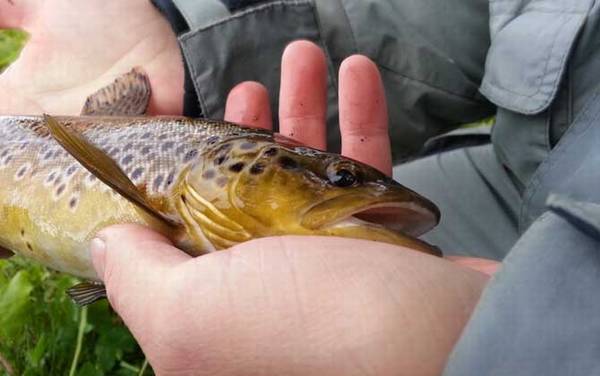 矶钓怎么选择钓位?