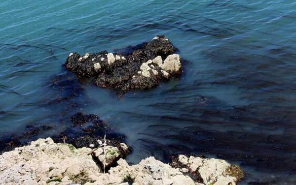 轻型矶钓有什么技巧?