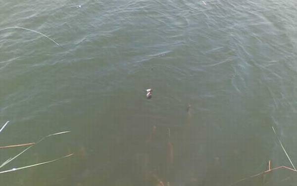 传统钓怎么选钓位?